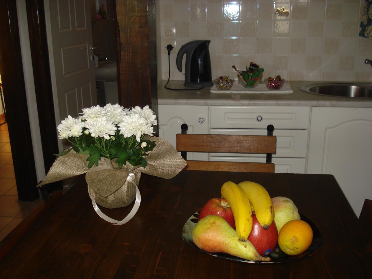 Apartament Iron House *