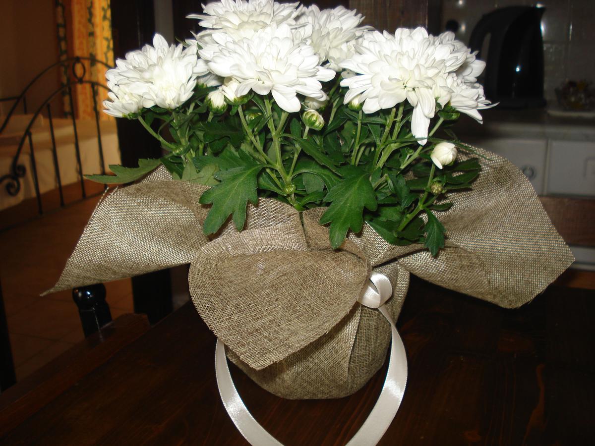 Apartament Iron House *